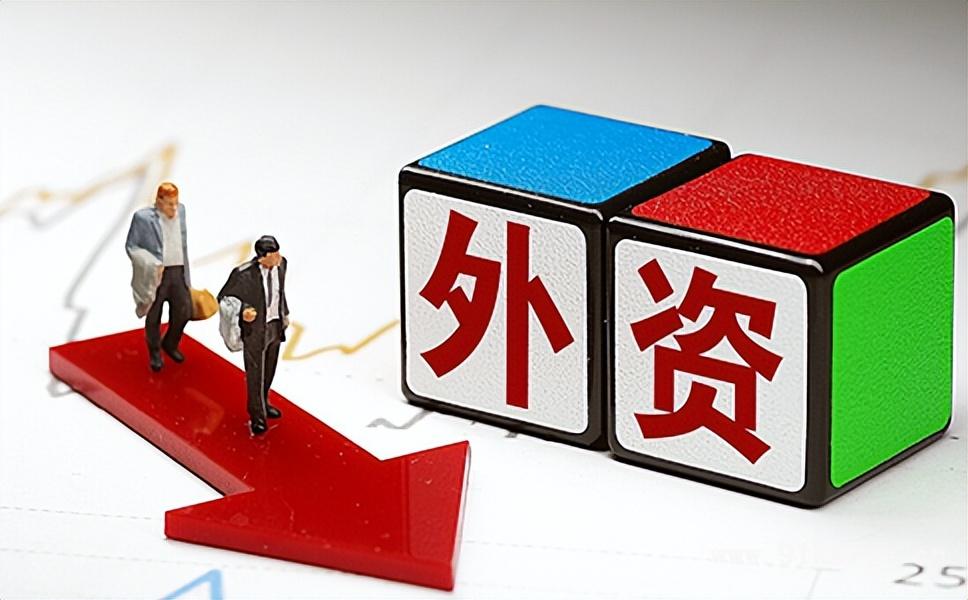 外資企業(yè)的定義(外資企業(yè)認(rèn)定的基本特征有哪些) 外資企業(yè)的定義(外資企業(yè)認(rèn)定的基本特征有哪些)