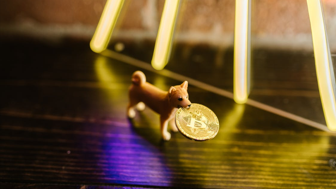 金融商品轉讓增值稅稅率及計稅依據(金融商品轉讓的會計處理)