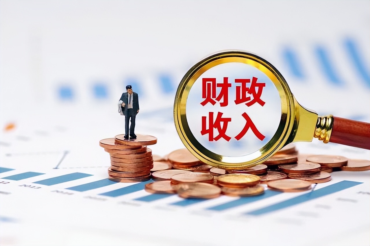 一般公共預(yù)算收入是什么意思